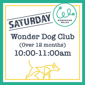 Saturday Class Graphic