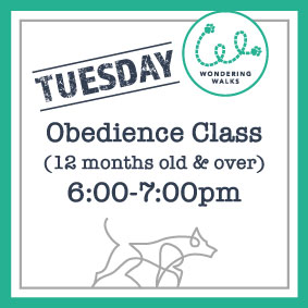 Tuesday Class Graphic