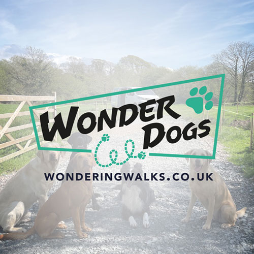 Wonder Dogs logo over the top of a picture of a group of dogs sat together.