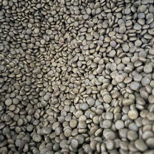 Small sized Akela kibble.